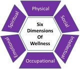 6 Dimensions of Wellness